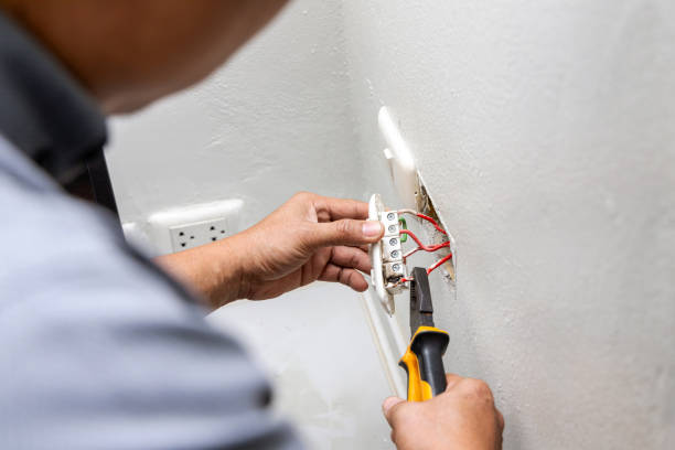 Best Ceiling Fan Installation Electrician  in Houghton Lake, MI